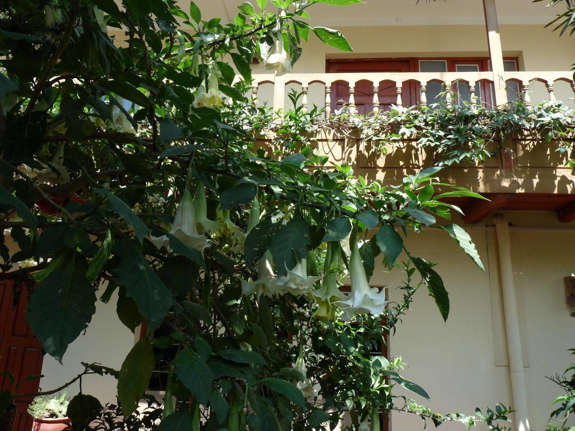 Kukuli Lodge B&B กุสโก ภายนอก รูปภาพ
